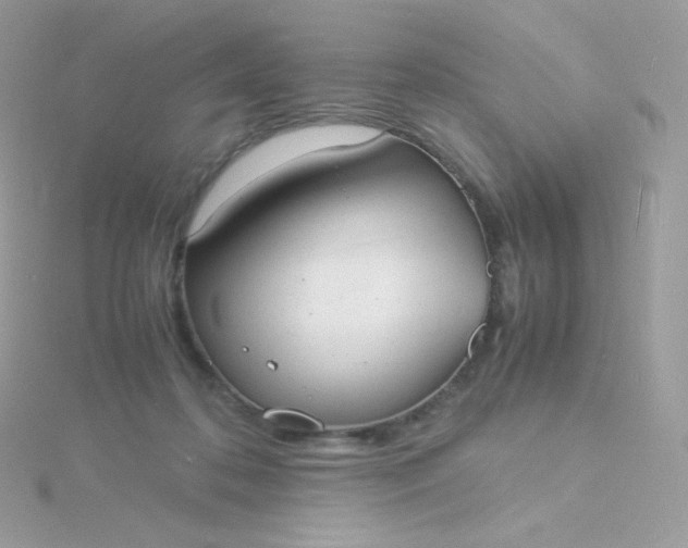 X0000115840316200911271226