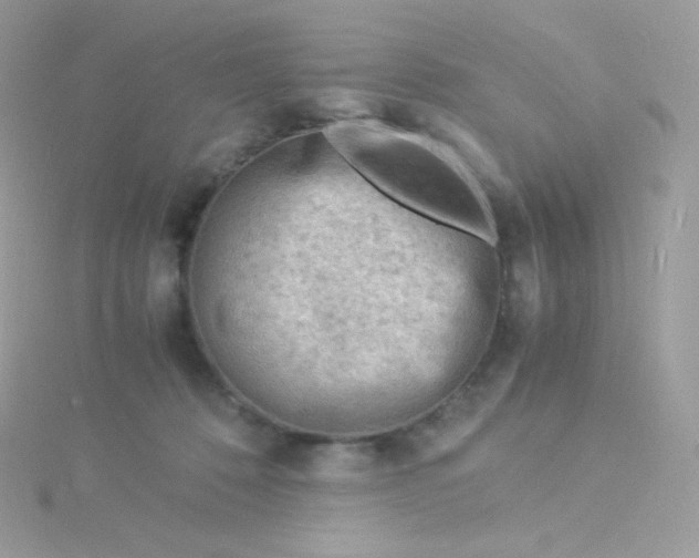 X0000115840320200911271226