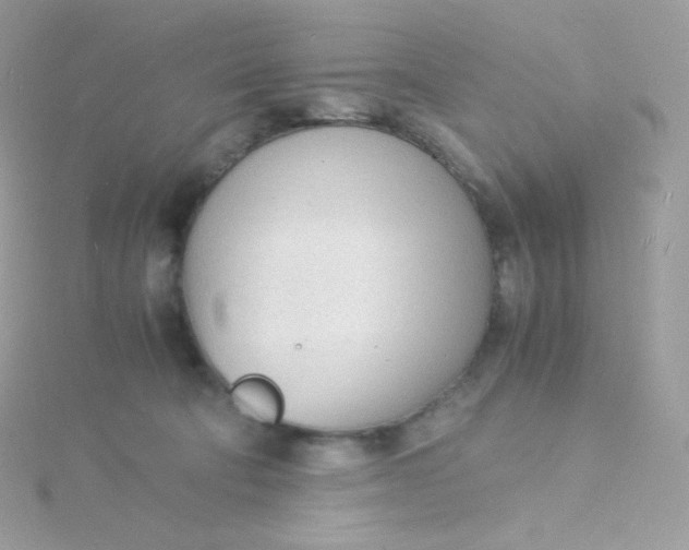 X0000115840322200911271226