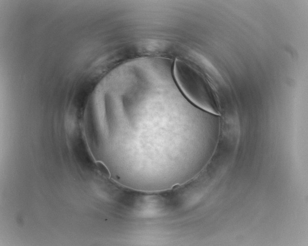 X0000115840324200911271226