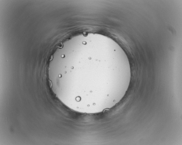 X0000115840325200911271226