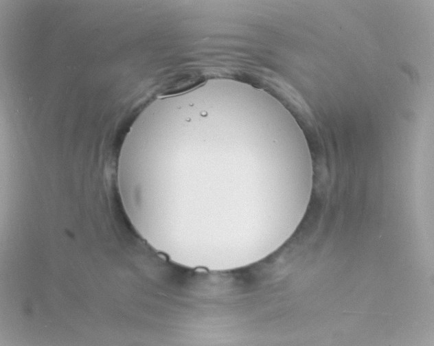 X0000115840329200911271226