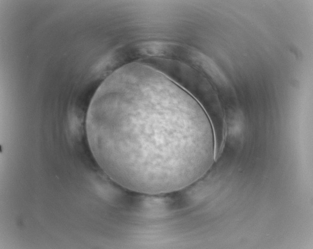 X0000115840332200911271226