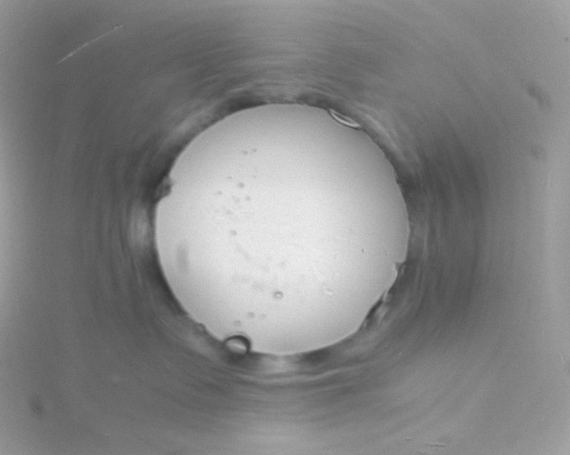 X0000115840335200911271226