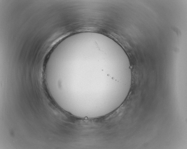 X0000115840338200911271225