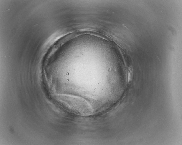 X0000115840339200911271225