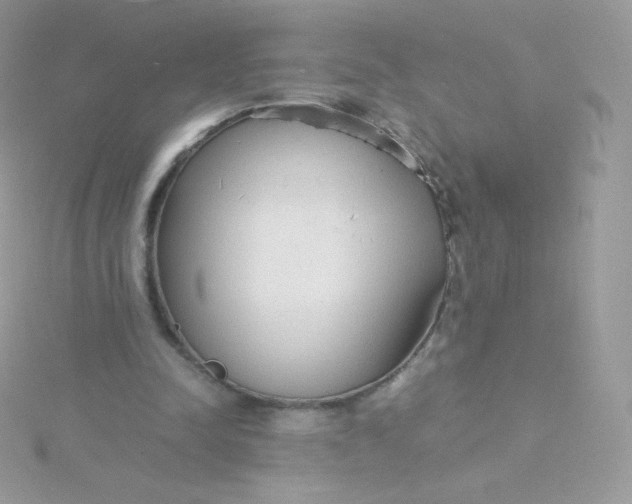 X0000115840342200911271225