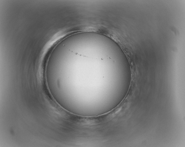 X0000115840343200911271225