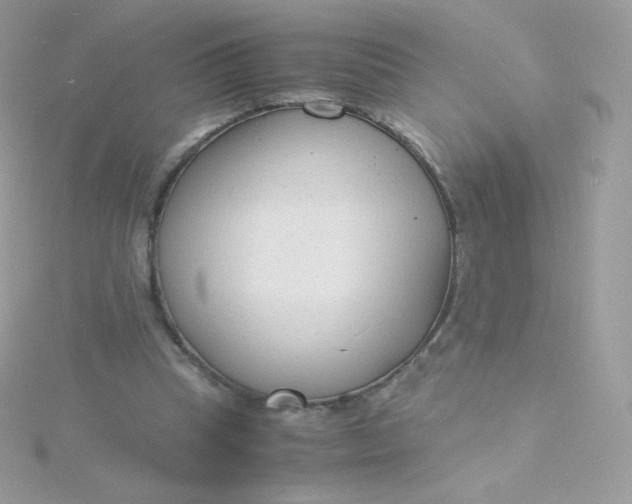 X0000115840345200911271225