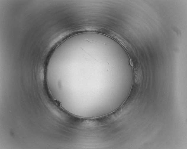 X0000115840350200911271225