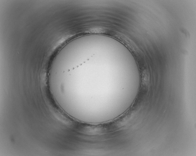 X0000115840351200911271225