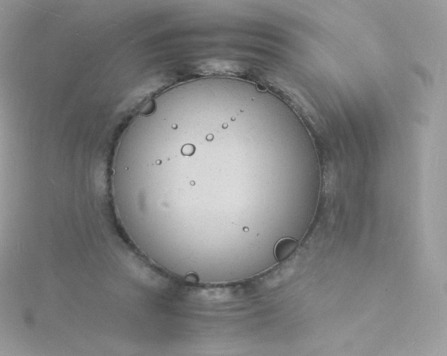 X0000115840353200911271225