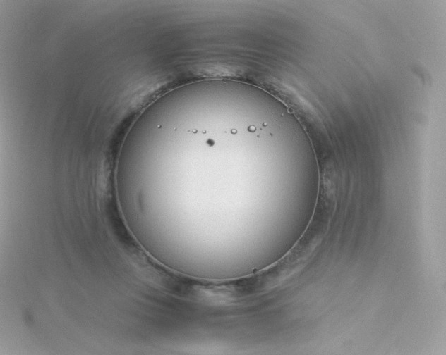 X0000115840359200911271226