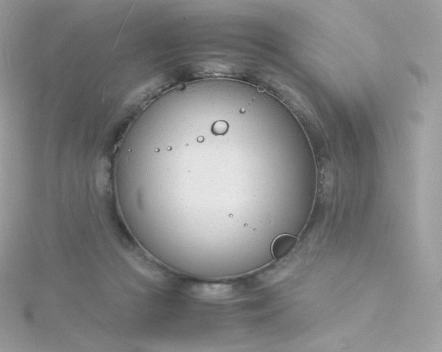 X0000115840361200911271226