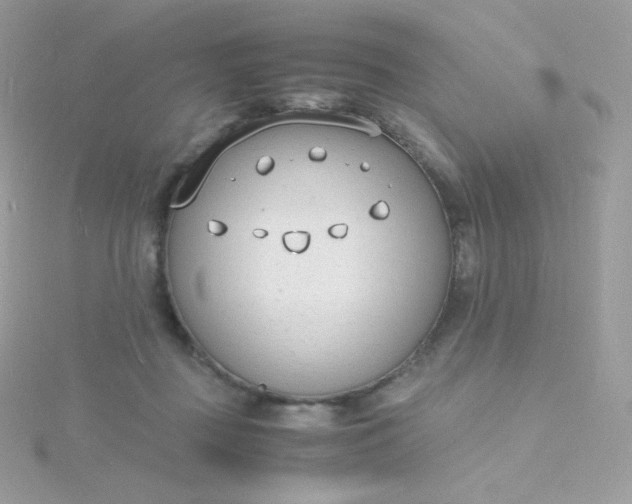 X0000115840363200911271226