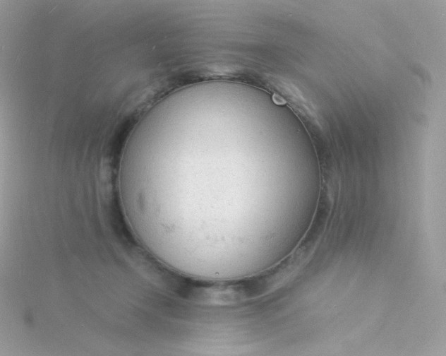 X0000115840366200911271226