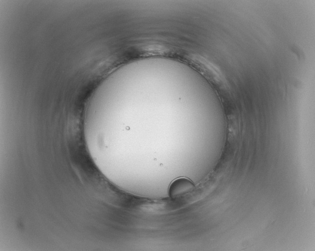 X0000115840369200911271226