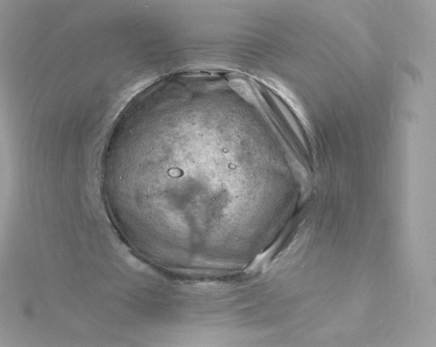 X0000115840385200911271225