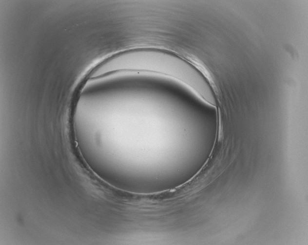 X0000115840387200911271225