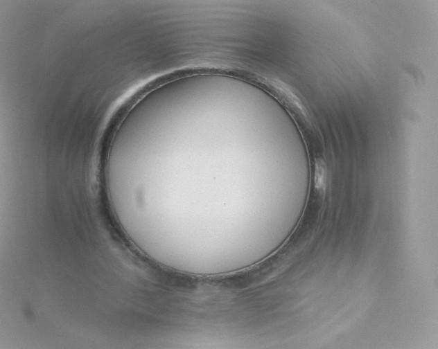 X0000115840388200911271225