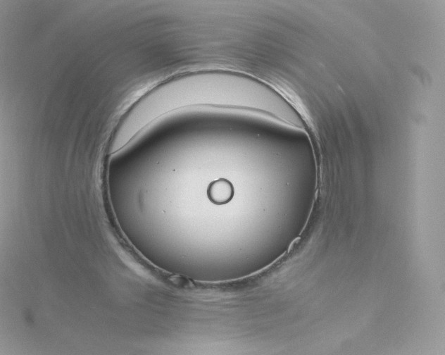 X0000115840389200911271225