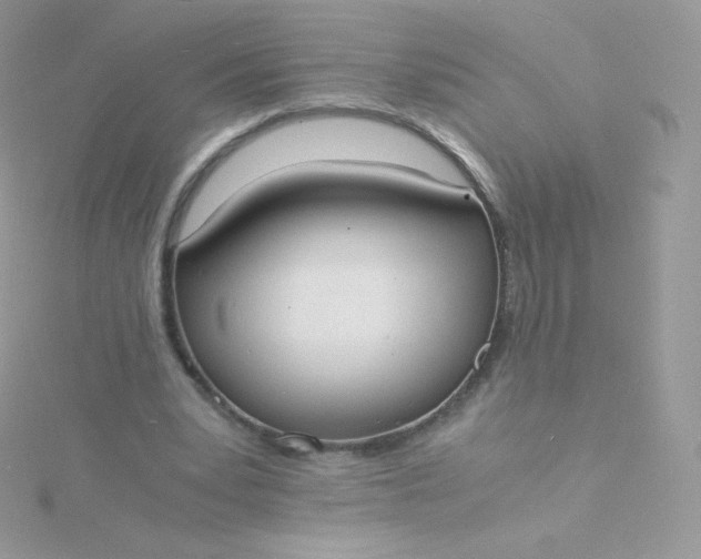 X0000115840391200911271225