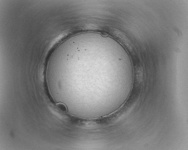 X0000115840395200911271225