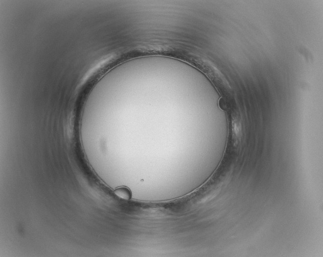 X0000115840396200911271225