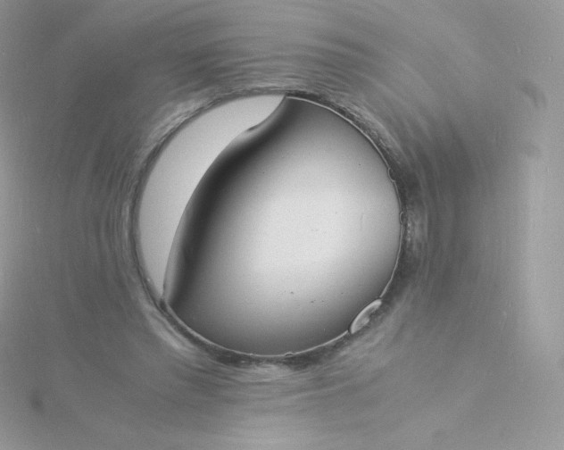 X0000115840397200911271225