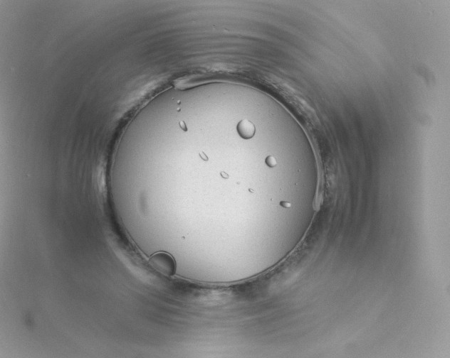 X0000115840398200911271225