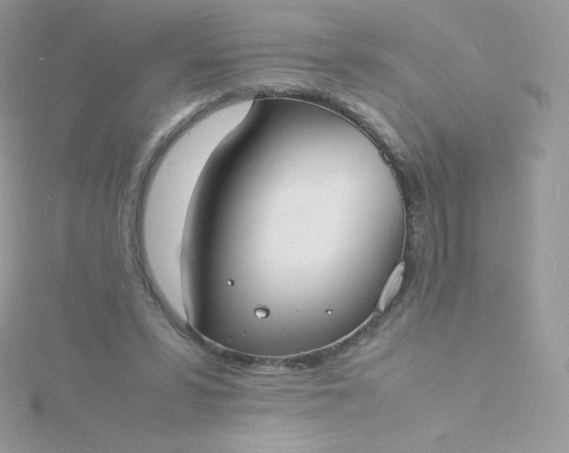 X0000115840399200911271225