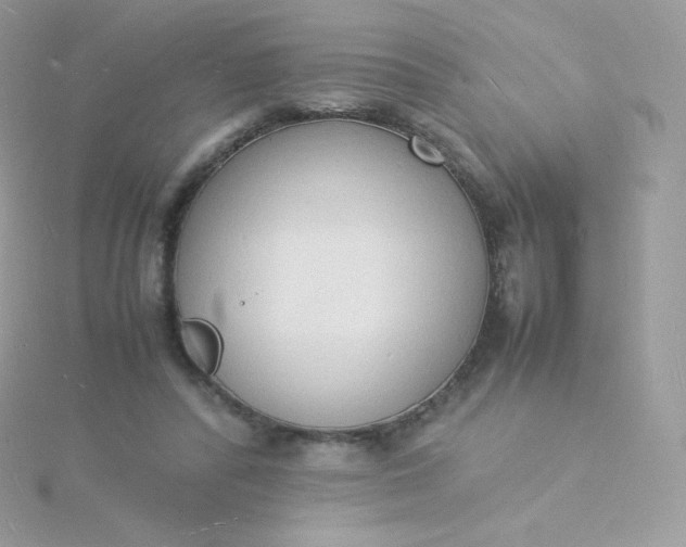 X0000115840400200911271225