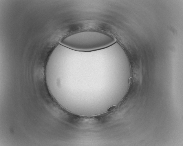 X0000115840401200911271225