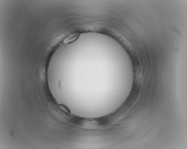 X0000115840403200911271225