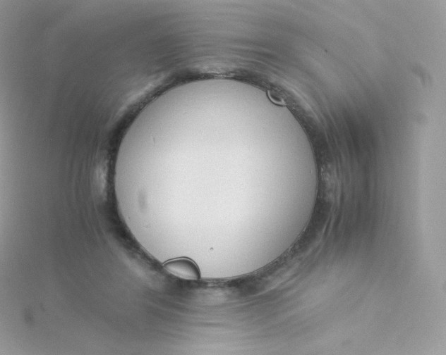 X0000115840404200911271225