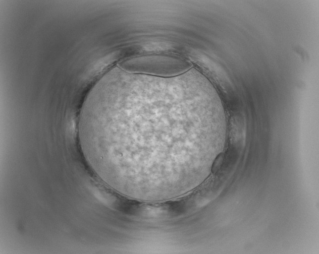 X0000115840405200911271225