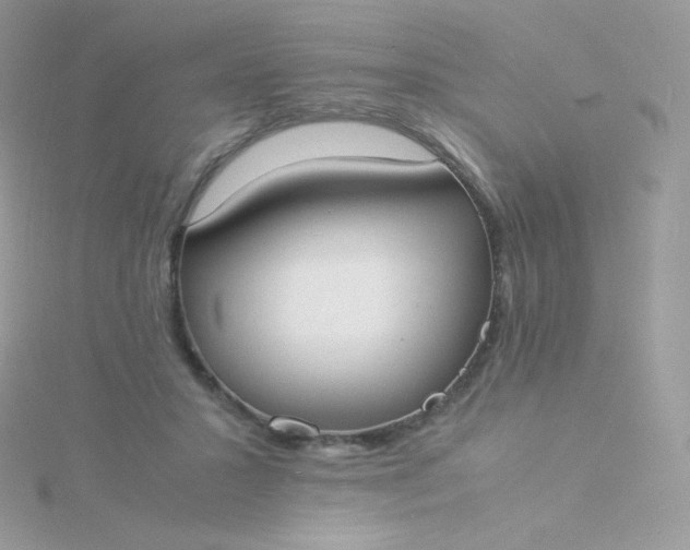 X0000115840407200911271225