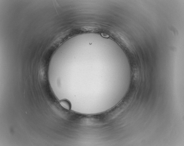 X0000115840408200911271225