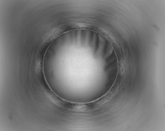 X0000115840410200911271225