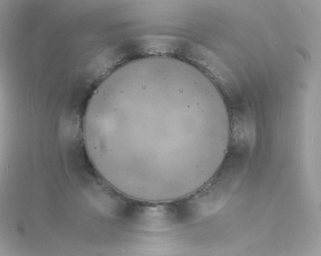 X0000115840411200911271225