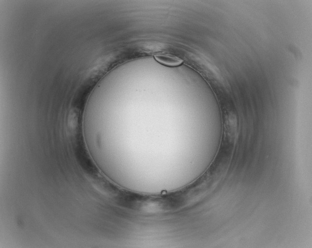 X0000115840412200911271225