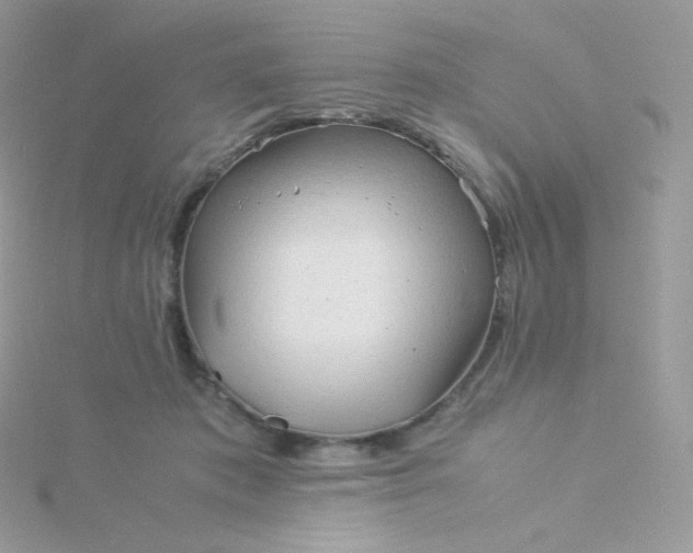 X0000115840413200911271225