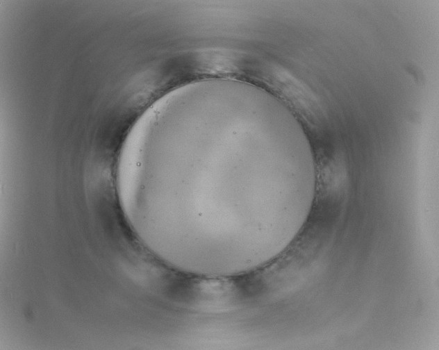 X0000115840415200911271225