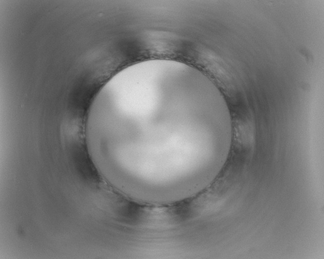 X0000115840419200911271225