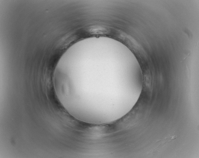 X0000115840422200911271225