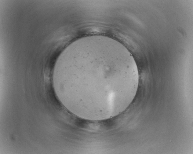 X0000115840423200911271225