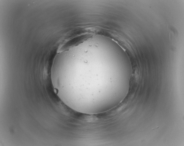 X0000115840424200911271225