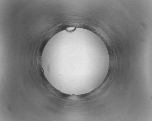 X0000115840425200911271225