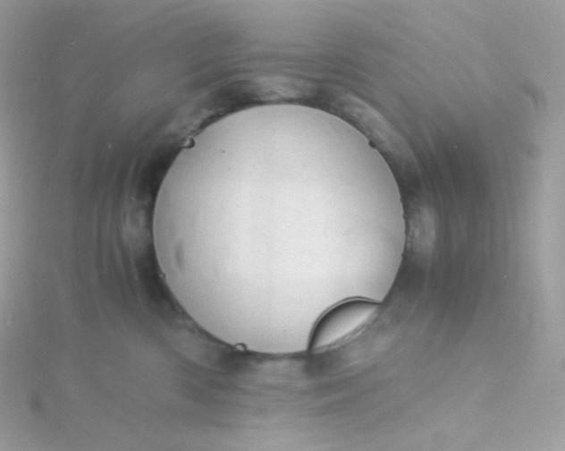 X0000115840426200911271225