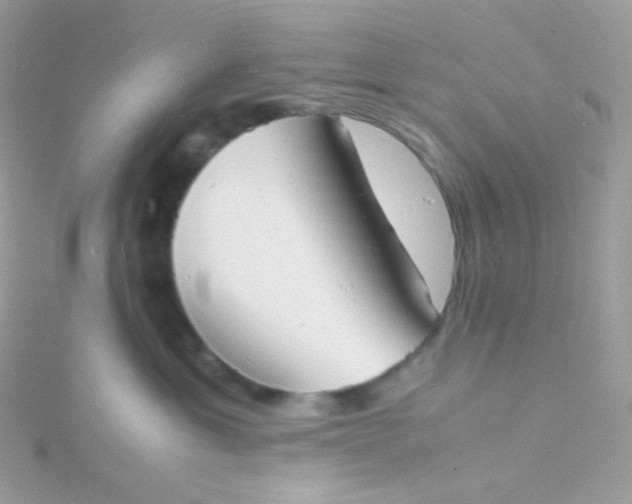 X0000115840429200911271225